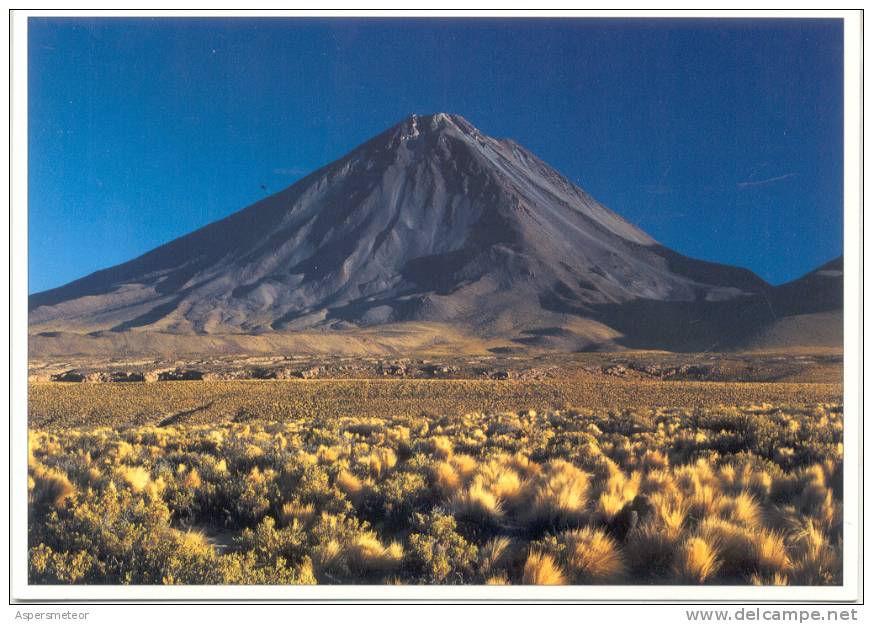 SAN PEDRO DE ATACAMA VOLCAN LICANCABUR 5916 METROS SOBRE EL NIVEL DEL MAR VOLCANOE RARISIME REMOTISIME - Chile
