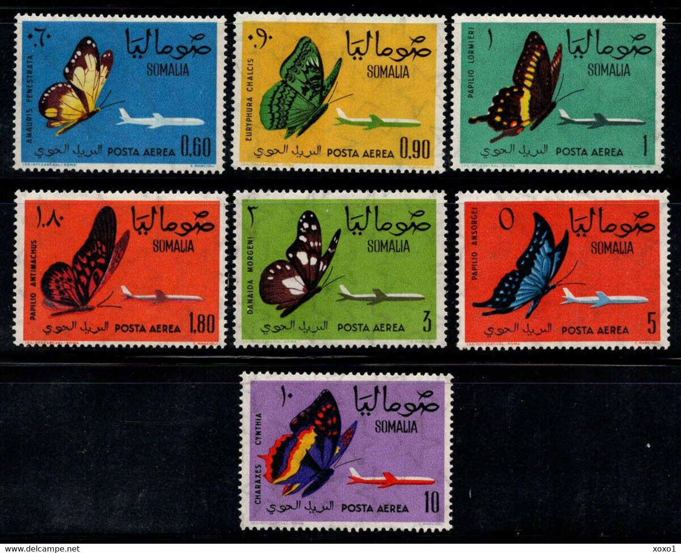 Somalia 1961 MiNr. 24 - 30  Insects Butterflies 7v MNH**  34,00 € - Somalia (1960-...)