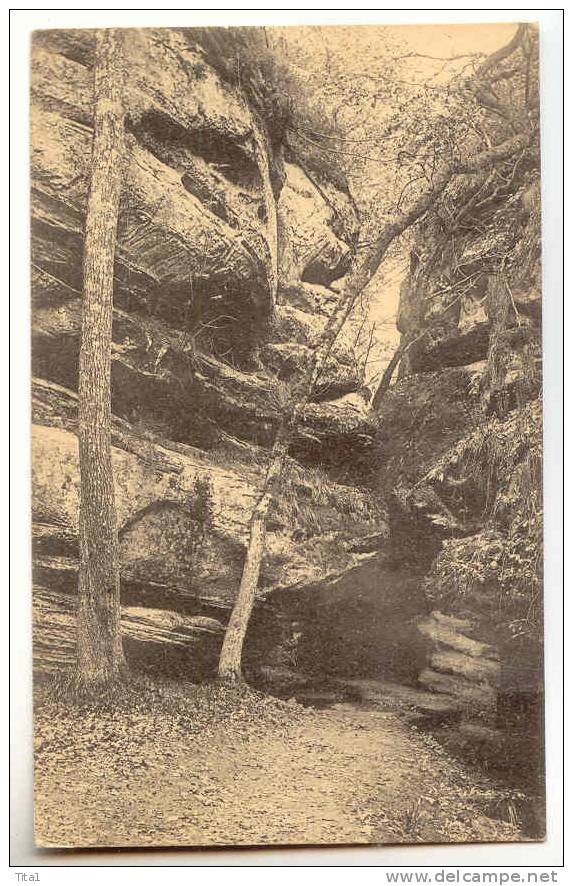 D4919 -  Berdorf, Le Centre De La Petite Suisse Luxembourgeoise - Roitzbach - Berdorf