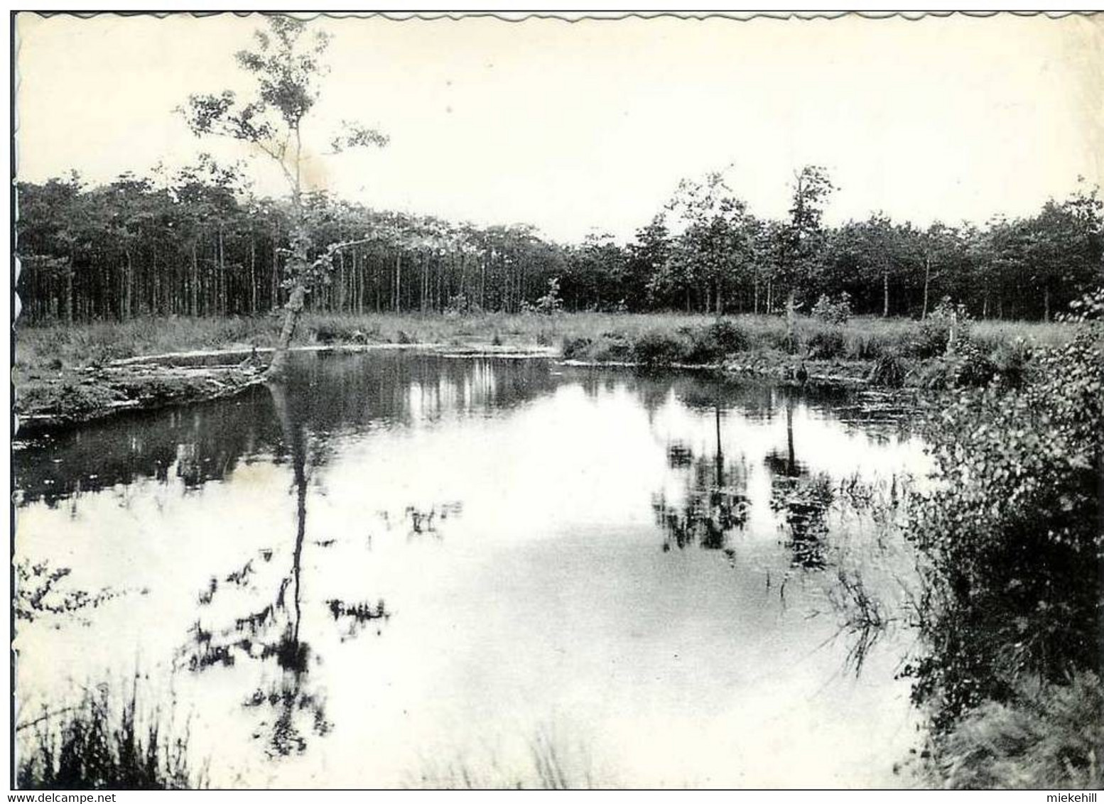 KEERBERGEN-LA MARE-DE POEL - Keerbergen