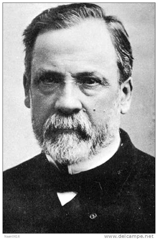 [Y31-05  ]   Chemist And Microbiologist  Louis Pasteur  , Postal Stationery -- Articles Postaux -- Postsache F - Louis Pasteur