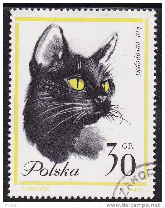 Petit lot de 9 timbres sur les chats