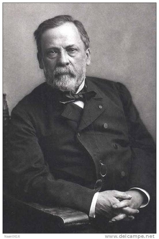 [Y31-39  ]   Chemist And Microbiologist  Louis Pasteur  , Postal Stationery -- Articles Postaux -- Postsache F - Louis Pasteur