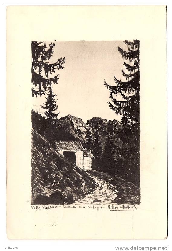 VALLE VIGEZZO - LA SCHEGGIA - DALLA MULATTIERA PER CORTINO - VERBANIA - 1959 - Verbania