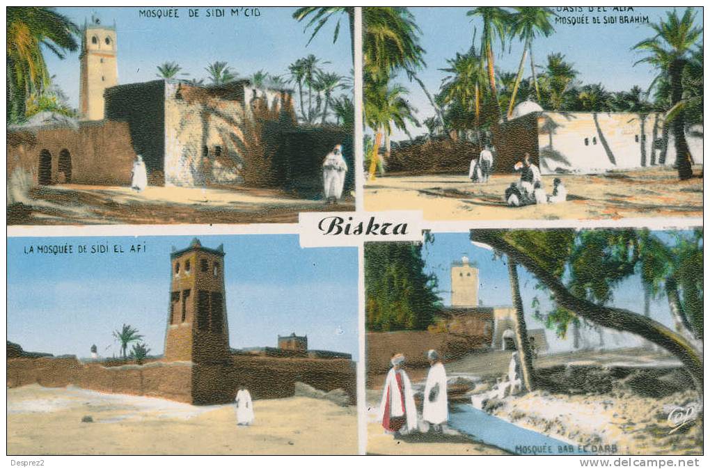 BISKRA Cpsm Multivues       139 CAP - Biskra