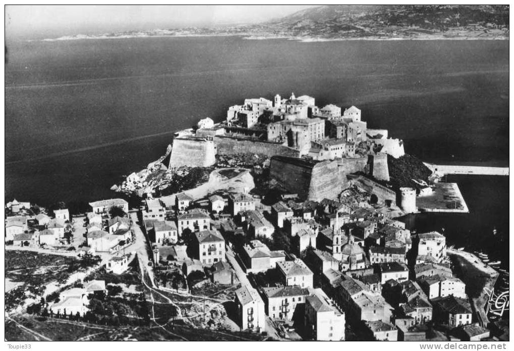 Calvi Vue Aérienne Port Cathérale Et Citadelle - Calvi