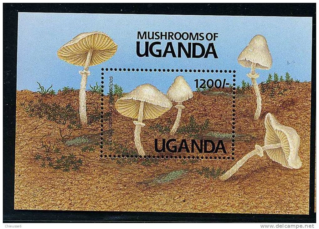 Ouganda ** Bloc N° 132 - Champignons (lot 9) (17 P4) - Uganda (1962-...)