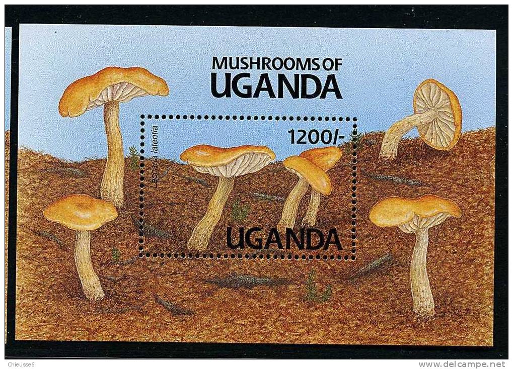 Ouganda ** Bloc N° 132A - Champignons (lot 10) (17 P4) - Oeganda (1962-...)