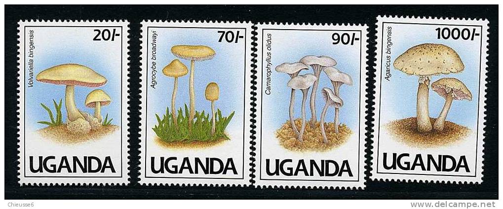 Ouganda ** N° 765A à 765D - Champignons (lot 12) (17 P4) - Oeganda (1962-...)