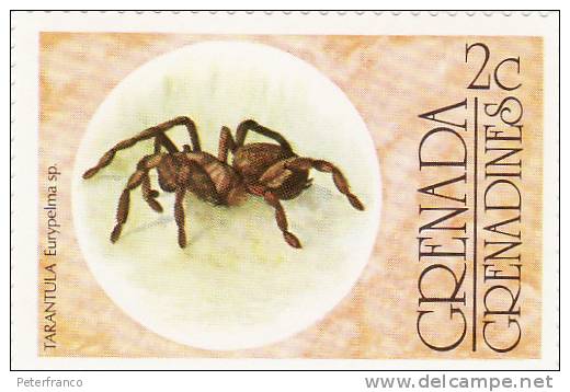 Grenada/Grenadines - Ragni - Spiders