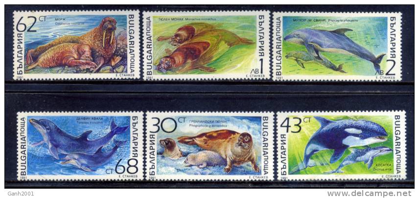 BULGARIA / FAUNA MARINA Marine Life / C2911 - Altri & Non Classificati