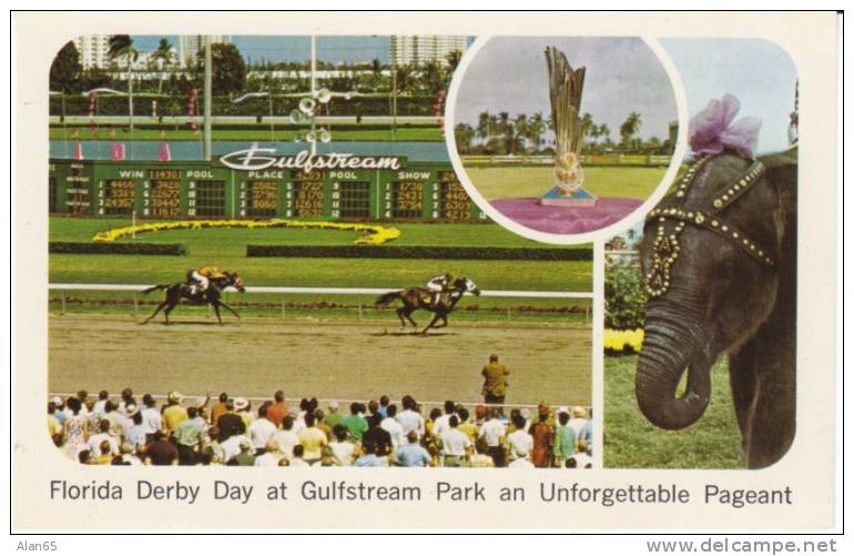 Florida Derby Day Gulfstream Park Horse Race Racing Track On C1960s(?) Vintage Postcard - Hippisme