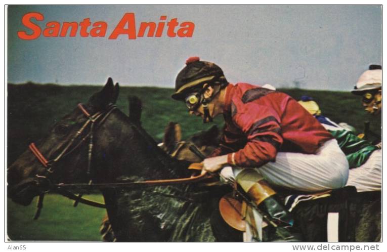 Santa Anita Horse Race Track, Jockey, On 1970s Vintage Postcard - Reitsport