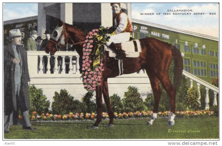 'Gallahadion' 1940 Kentucky Derby Winner, Horse Racing, Jockey, On C1940s Vintage Linen Postcard - Reitsport