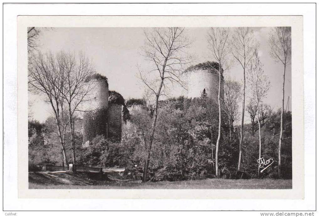 79 - Echire     Le Château De Coudray Salbart - Other & Unclassified