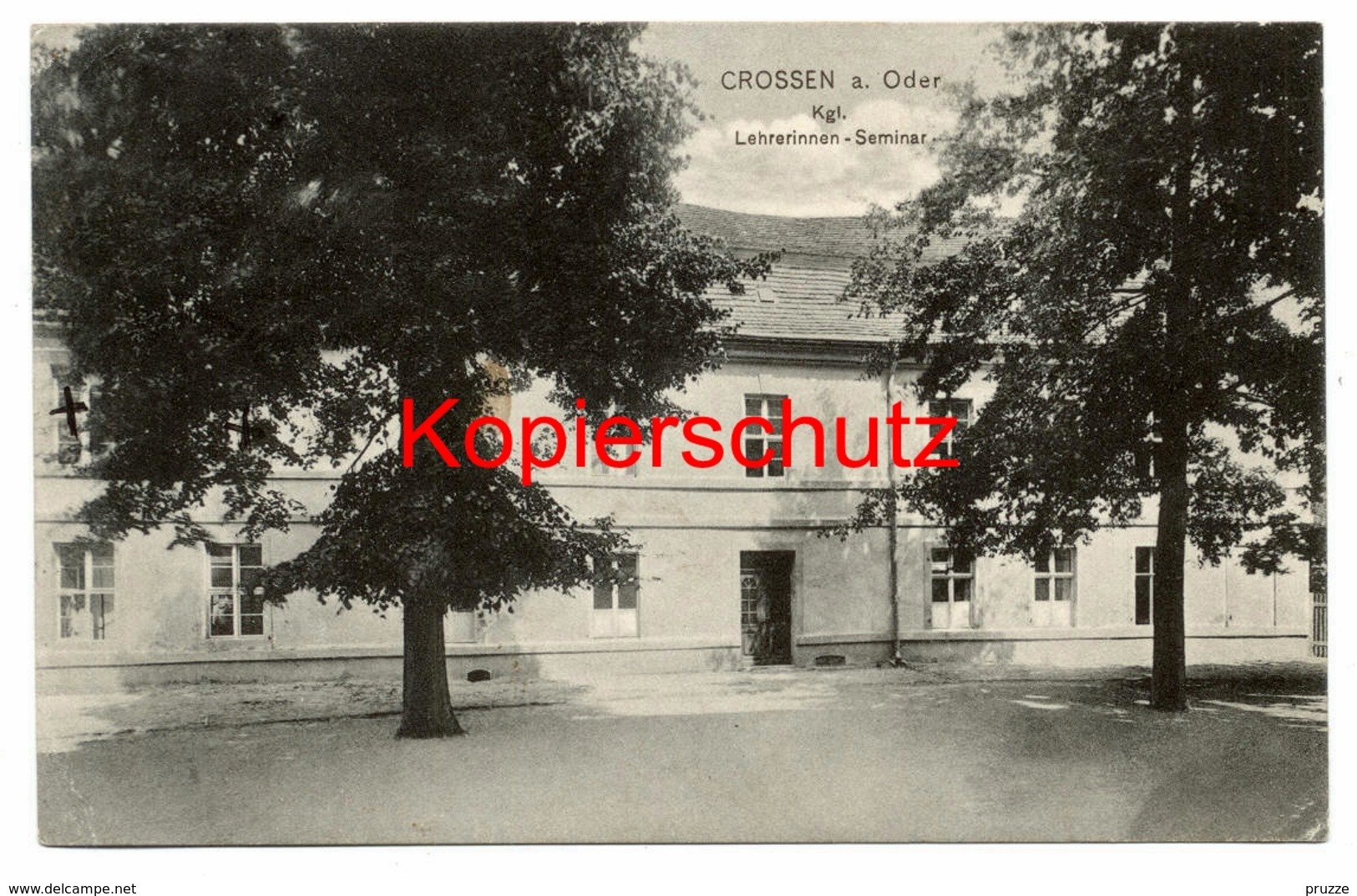 Crossen A.O. 1911, Lehrerinnen-Seminar - Nach Wieck Auf Dem Darß - Neumark