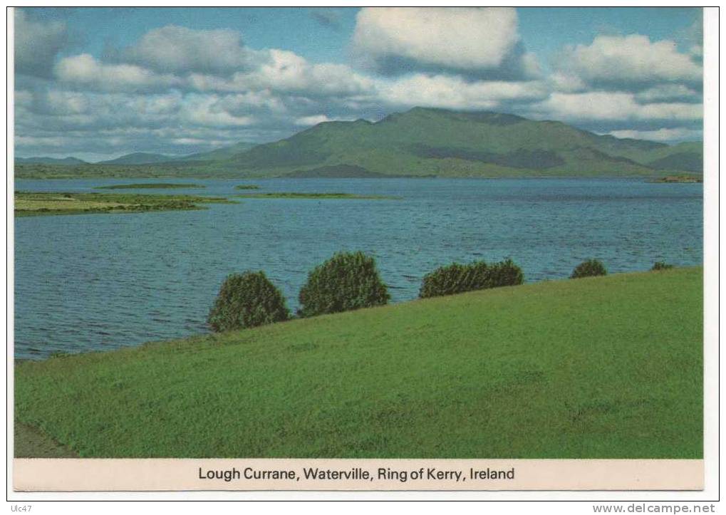 - Lough Currane, Waterville, Ring Of Kerry, Ireland .  - Scan Verso - - Kerry