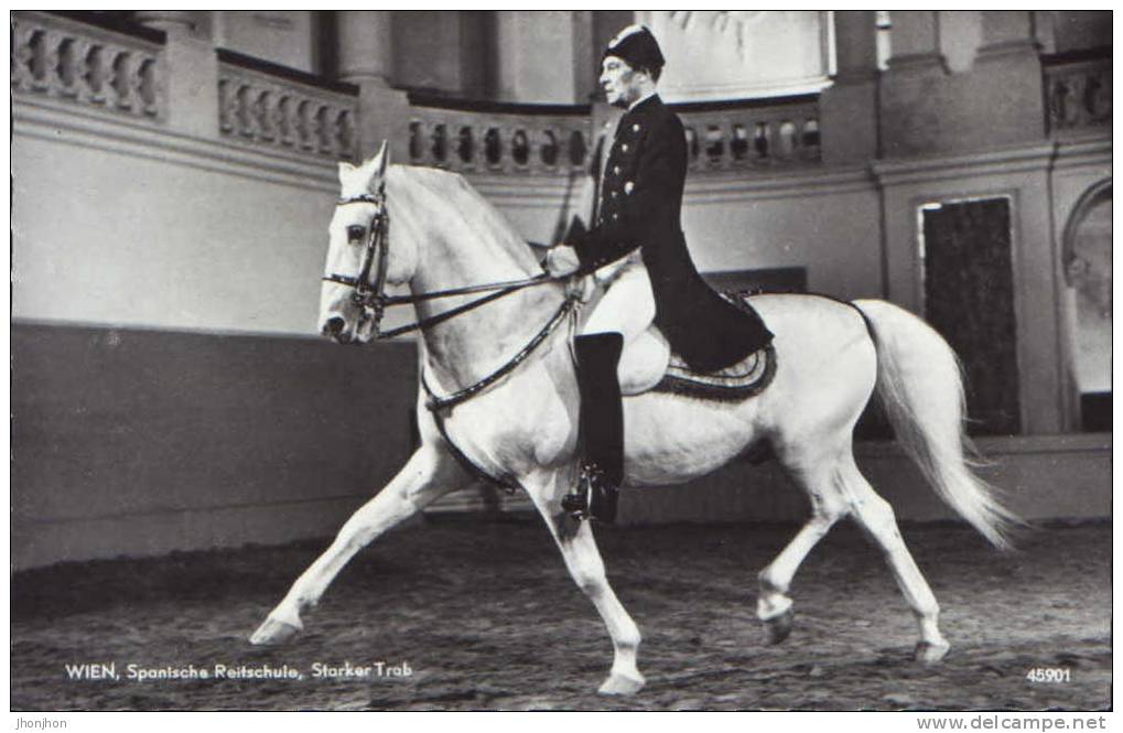 Austria- Postcard(photo) Unused-Equestrian- Spanish School - Extended Trap - 2/scans - Reitsport