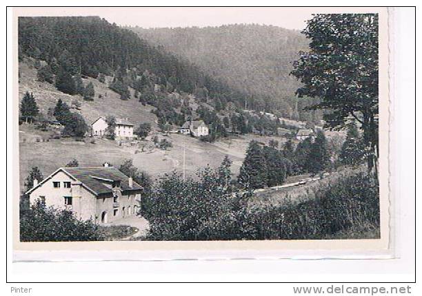 BUSSANG - Colonie De Rouceux à La Hutte - Bussang