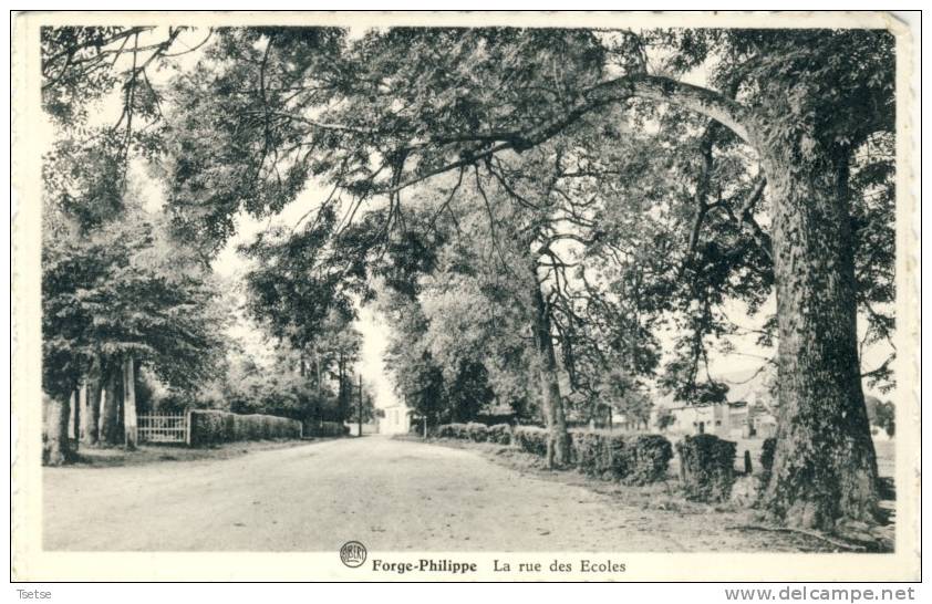 Forge-Philippe - La Rue Des Ecoles ( Voir Verso ) - Momignies