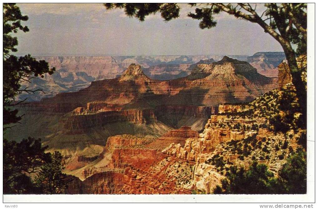 ETATS UNIS ARIZONA Grand Canyon National Park - Grand Canyon