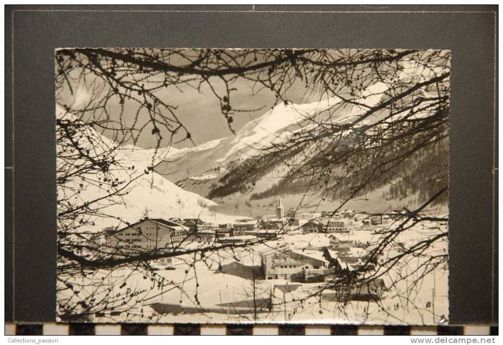 VAL D'ISERE VUE GENERALE A TRAVERS LES MELEZES - Val D'Isere