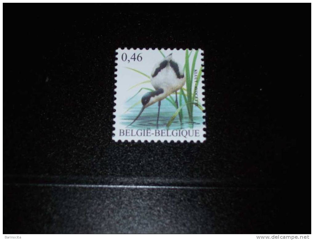 BUZIN-N° 3479 AVOCETTE- - 1985-.. Vogels (Buzin)