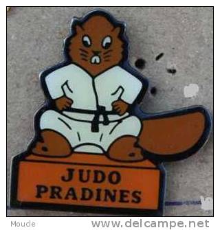 JUDO PRADINES - CASTOR - PAYS DE CAHORS -                         (22) - Judo