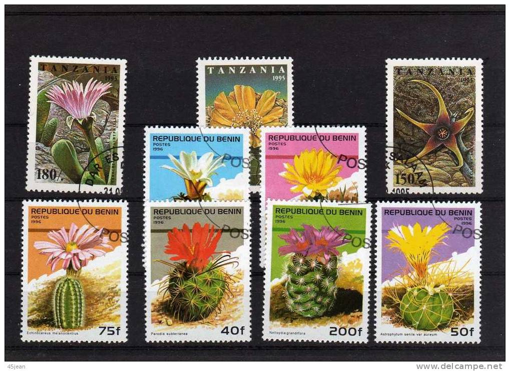 Bénin - Tanzanie : Joli Petit Lot De Timbres "cactus En Fleurs" Oblitérés - Sukkulenten