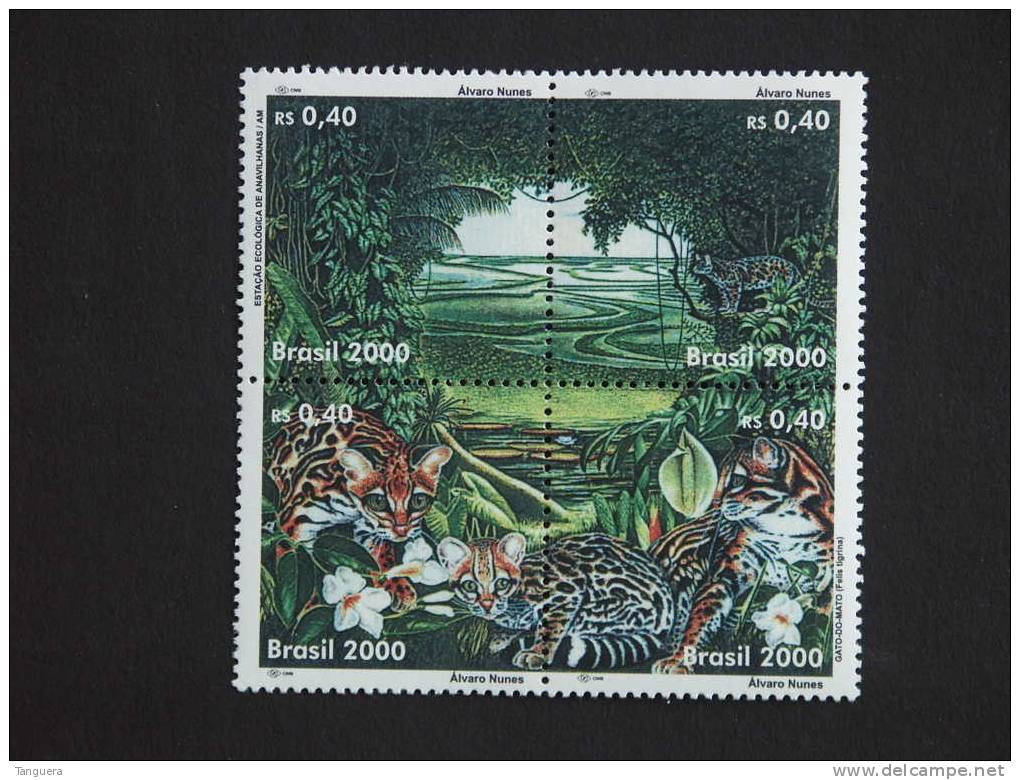 Brazilië Brésil Brasil 2000 Preservation De L'environnement Chats Sauvages Wilde Katten Yv 2588-2591 MNH ** - Hauskatzen