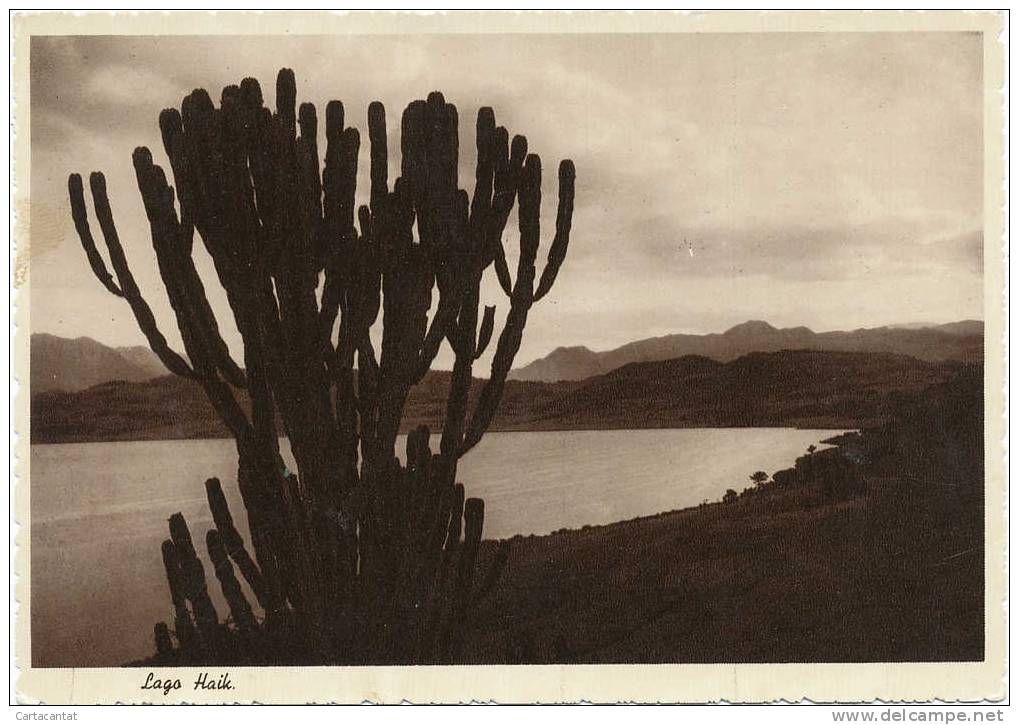 ETIOPIA. SUGGESTIVA VEDUTA DEL LAGO HAIK. CARTOLINA DI EPOCA COLONIALE - Ethiopia