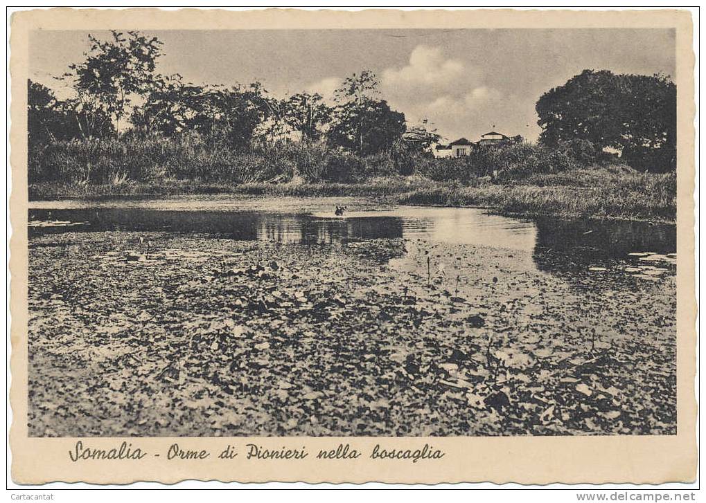 SOMALIA. ORME DI PIONIERI NELLA BOSCAGLIA. CARTOLINA DI EPOCA COLONIALE - Somalie