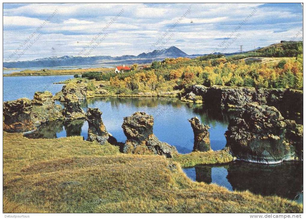 ICELAND ISLANDE : Lake Myvatn North Iceland ( Stamp Fridrik Fridriksson 1968 ) - IJsland