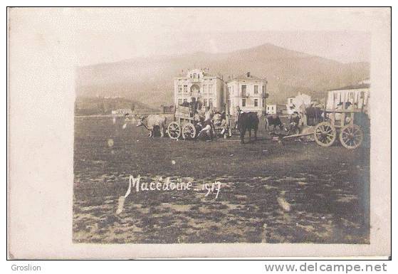 MACEDOINE CARTE PHOTO 1917 (ATTELAGE BOEUFS PP ET ANIMATION) - Macédoine Du Nord