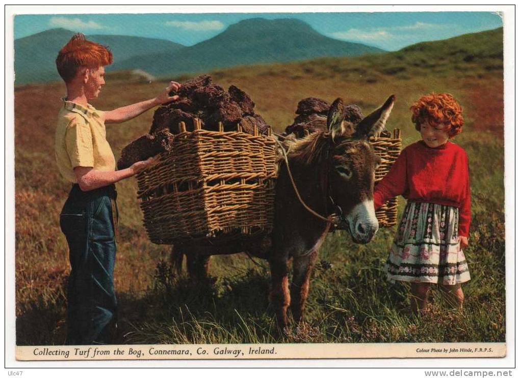 Collecting Turf From The Bog, Connemara, Co, Galway, Ireland. - Scan Verso - - Galway