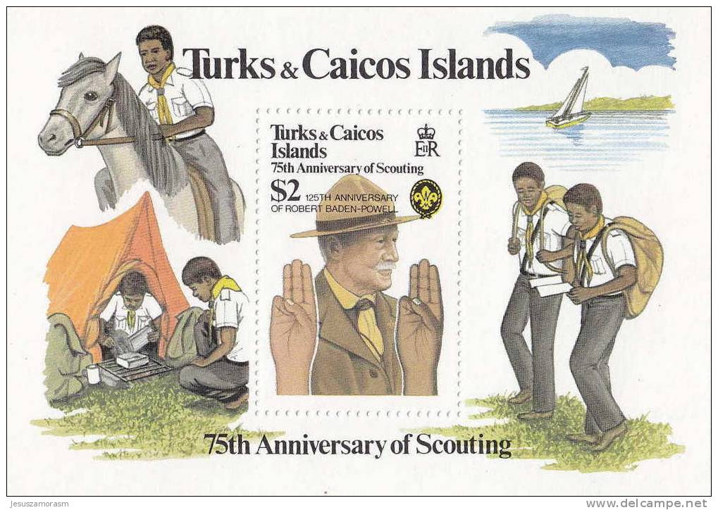 Turks Y Caicos HB 37 - Turks & Caicos (I. Turques Et Caïques)