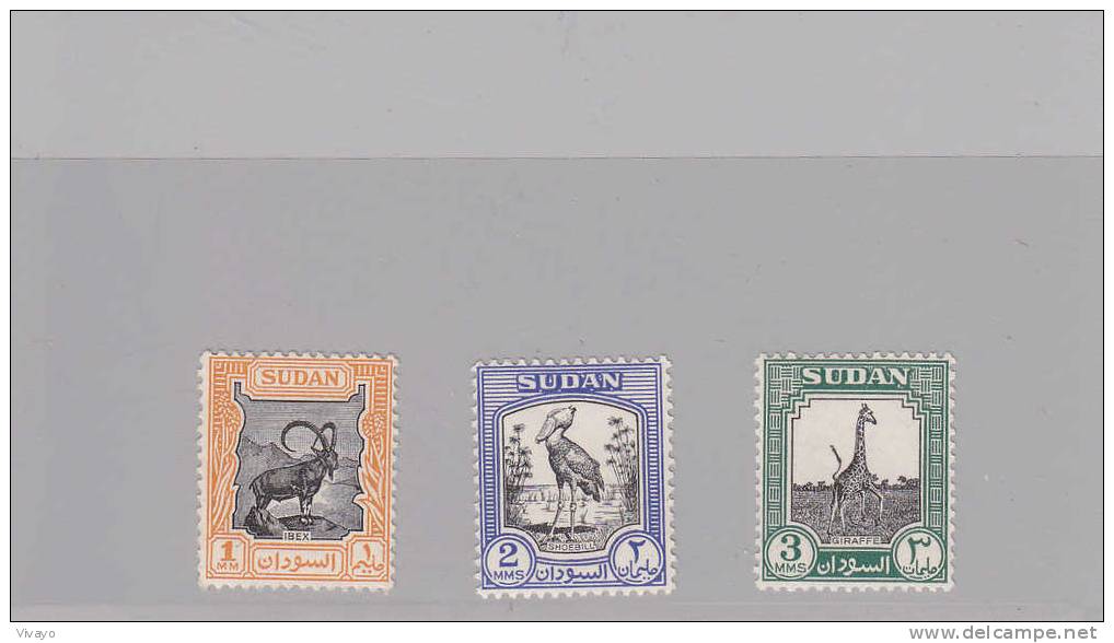 SUDAN  - 1951- */MLH - LOKALE FAUNA - FAUNA LOCAL - Giraffen