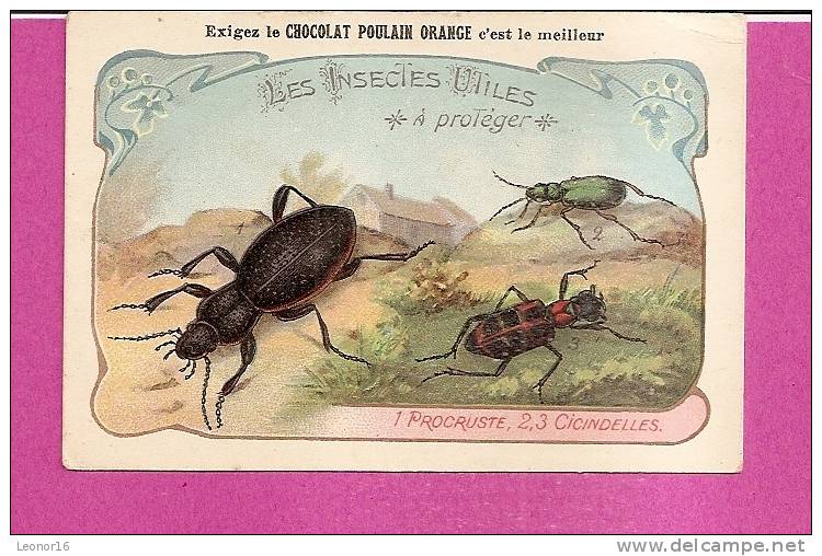 IMAGE CACAO POULAIN N° 3  -   " PROCRUSTE " Et " CICINDELE " INSECTES UTILES A PROTEGER - Menier