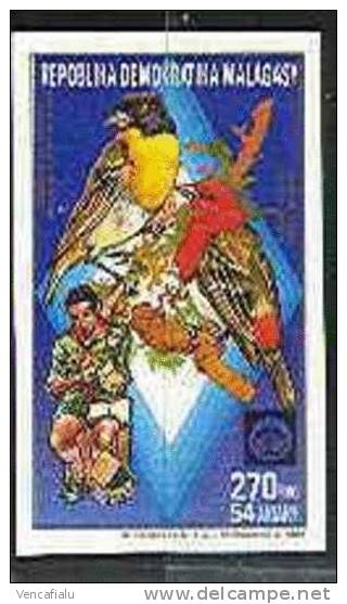 Madagascar  1988 - Birds And Scout, 1 Stamp Imperforated, MNH - Nuevos