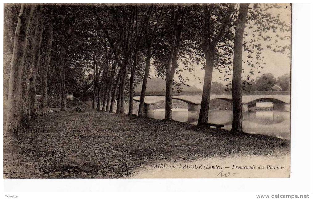 CPA 40, 1918, AIRE-sur-L'ADOUR, PROMENADE DES PLATANES - Aire