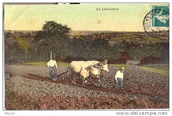 1386  - AGRICULTURE - LE LABOUREUR  - SUPERBE ATTELAGE DE BOEUFS    1907 - Attelages