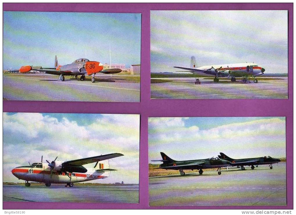 AVIATION -  FORCE AERIENNE BELGE -  LOT DE 12 CARTES DIFFERENTES - CHASSEURS ..BOMBARDIERS...ETC - 1946-....: Ere Moderne