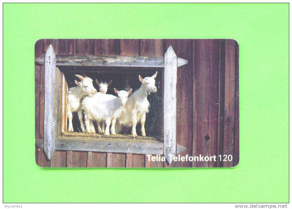 SWEDEN  -  Chip Phonecards As Scan - Schweden