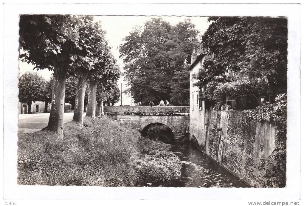 18 - Aubigny-sur-Nere            Les Fossés - Aubigny Sur Nere