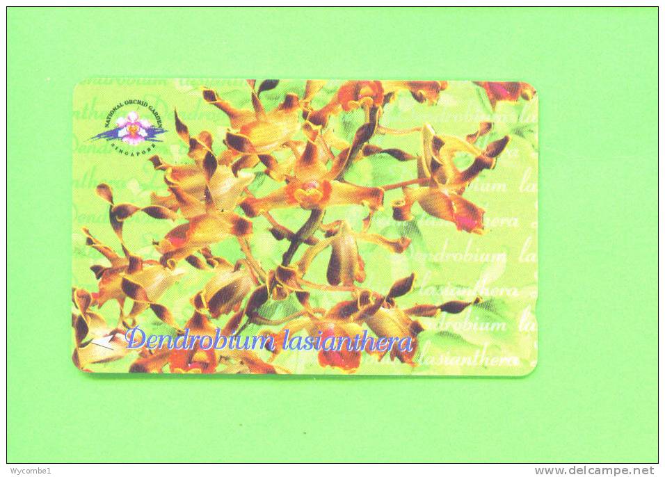 SINGAPORE  -  Magnetic Phonecard As Scan - Singapour