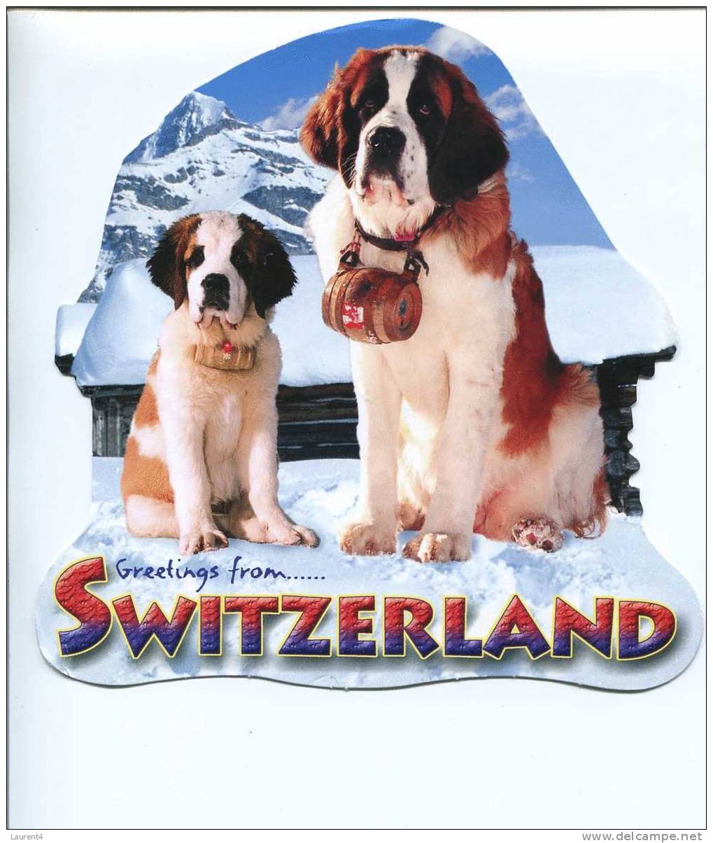 (998) Chien Saint Bernard - St Bernard Dog - Hunde