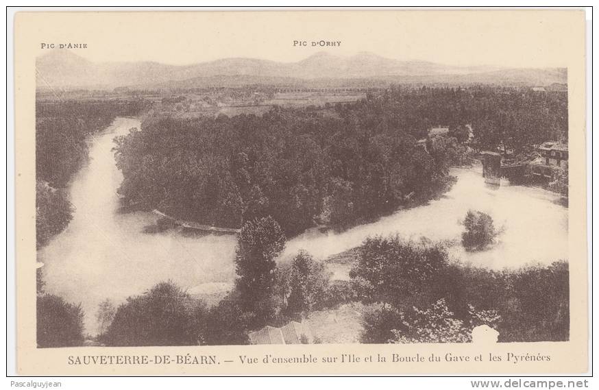 CPA SAUVETERRE DE BEARN - VUE D'ENSEMBLE SUR L'ILE ET LA BOUCLE DU GAVE - Sauveterre De Bearn