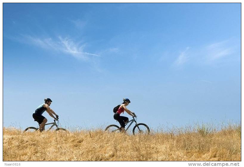 [Y33-01 ] Bike, Bicycle, Cycling  Vélo, Bicyclette, Fahrrad, Postal Stationery -- Articles Postaux -- Postsache F - Vélo