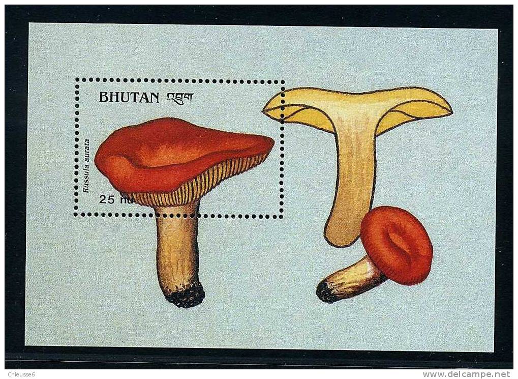 Bhoutan ** Bloc N° 171 - Champignons (lot 8) (19 P13) - Bhutan