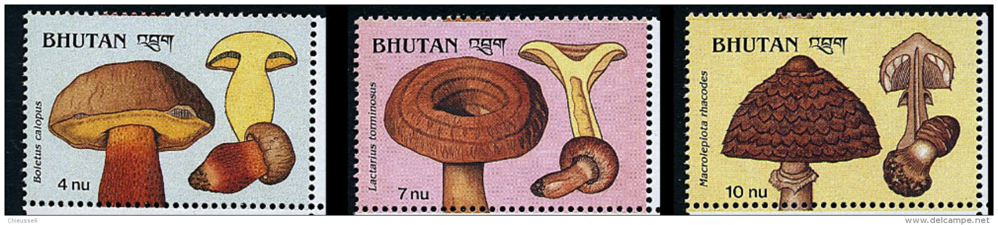 Bhoutan ** N° 856 à 858 - Champignons (lot 15) (19 P16) - Bhutan